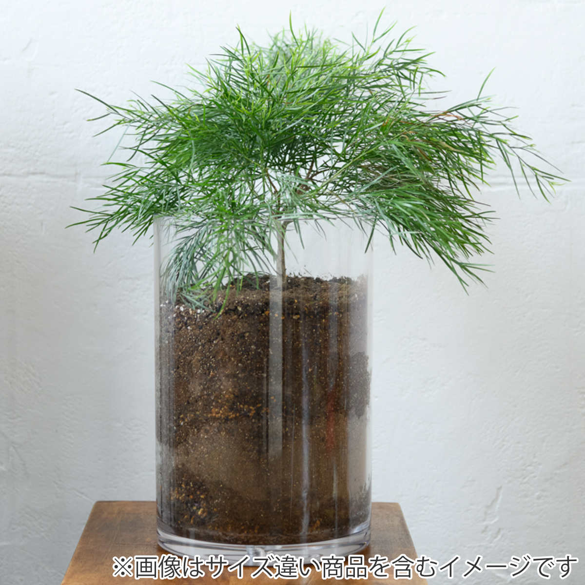 花瓶 割れないガラス PVシリンダー 直径15×高さ15cm （ 花びん 花器
