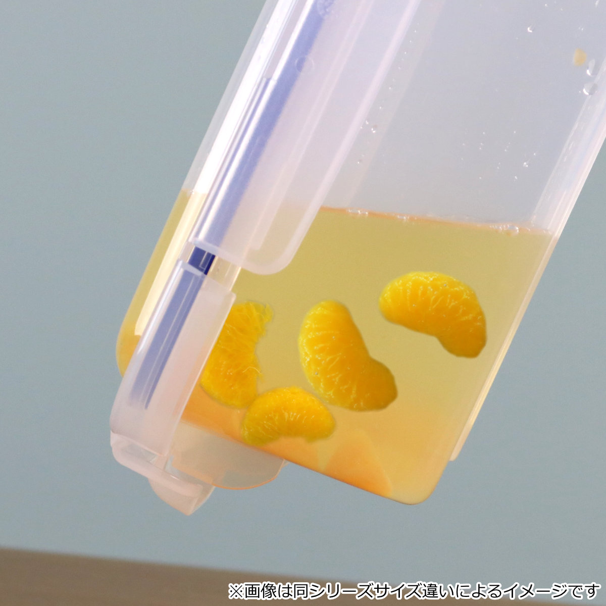 保存容器 6L SLジャンボケース 抗菌 （ 密閉 4面ロック プラスチック