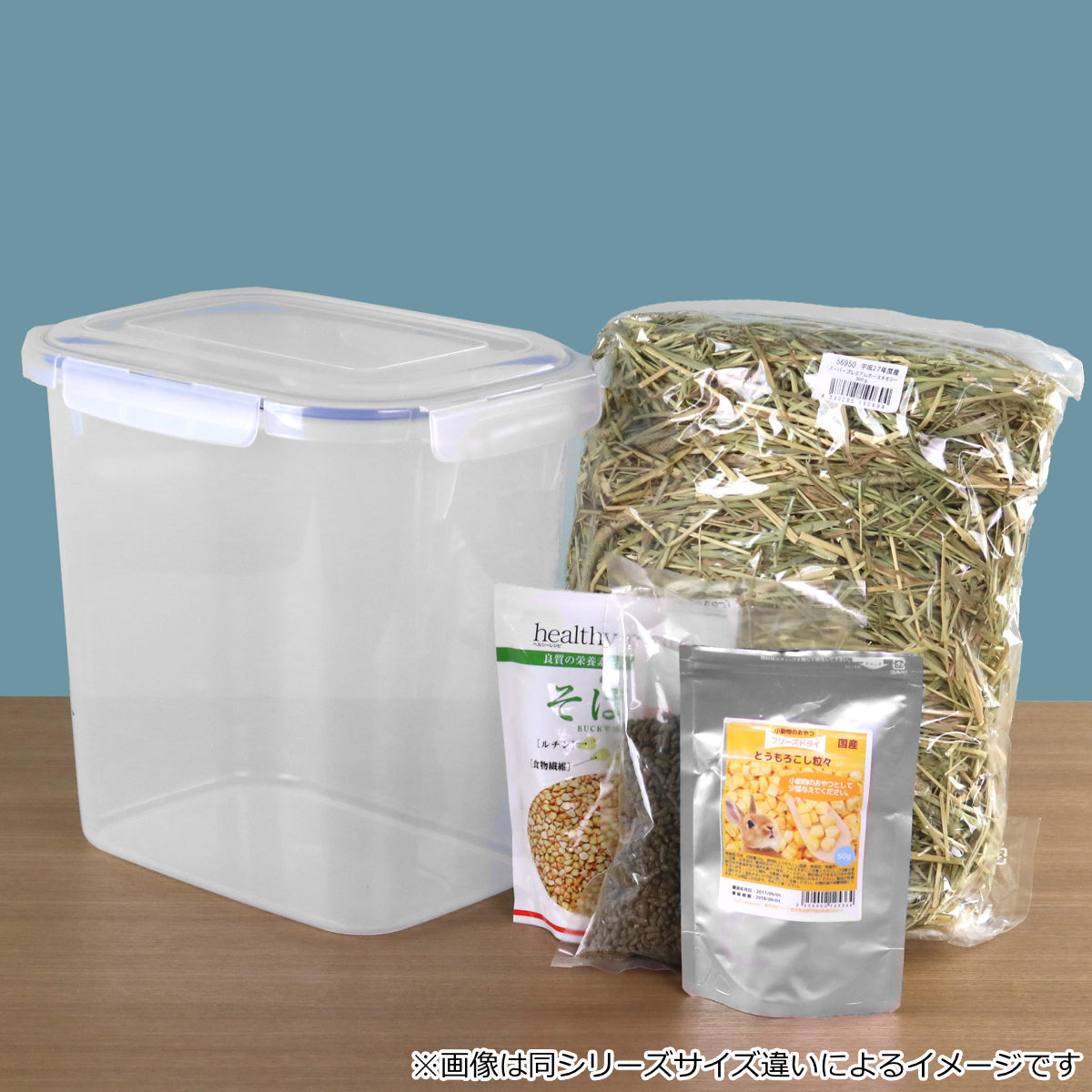 保存容器 8L SLジャンボケース 抗菌 （ 密閉 4面ロック プラスチック