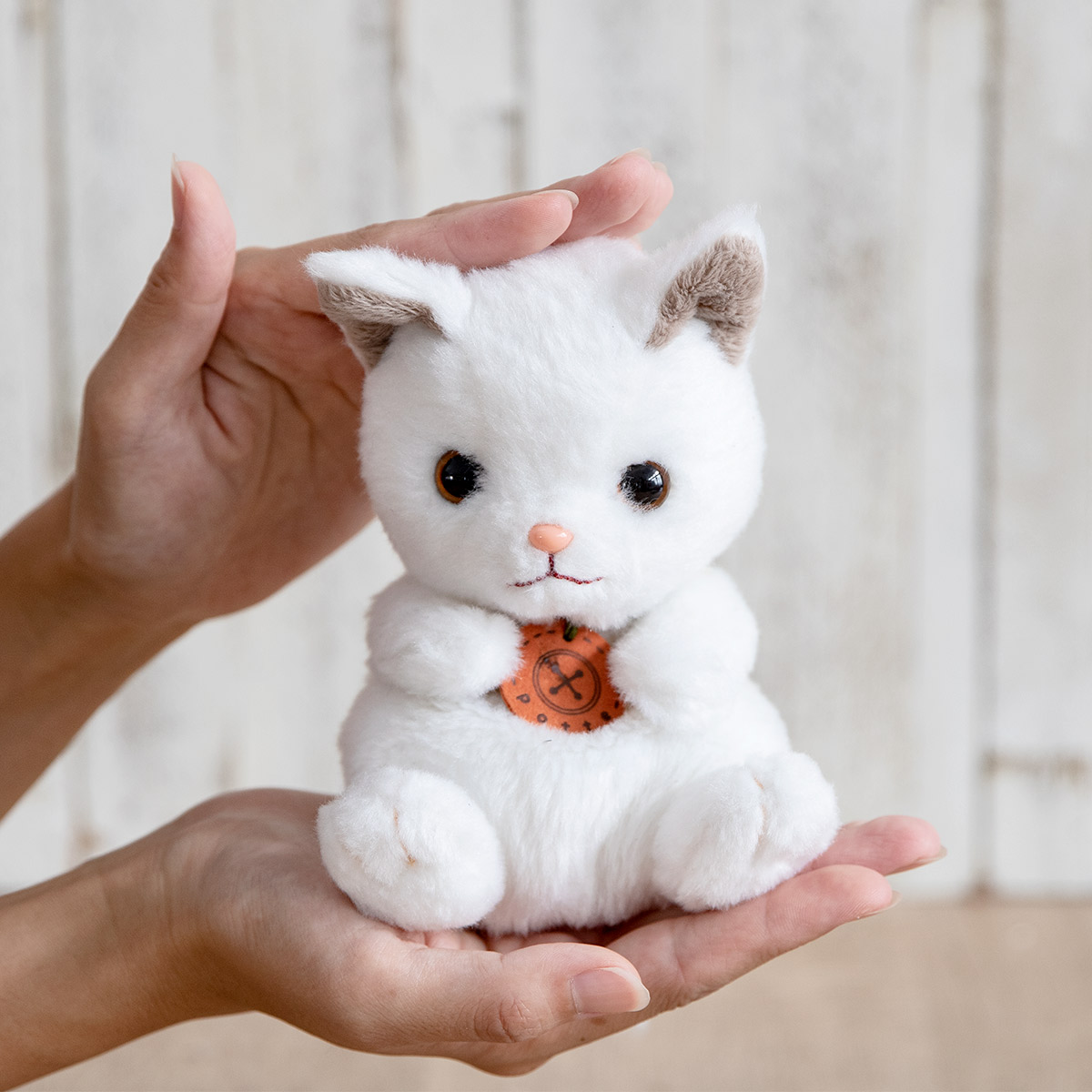 ぬいぐるみ potte 白猫 猫 （ ヌイグルミ ねこ ネコ 動物 雑貨