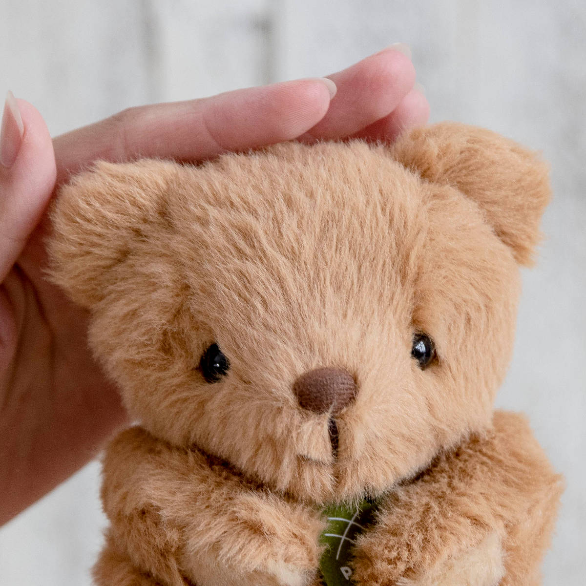 ぬいぐるみ potte クマ （ ヌイグルミ 熊 くま 動物 雑貨