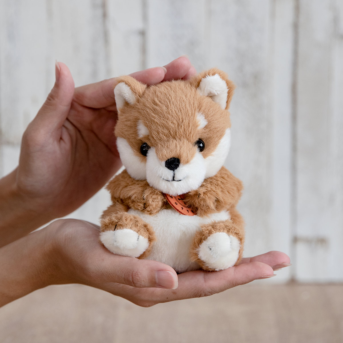 ぬいぐるみ potte 柴犬 （ ヌイグルミ 犬 しばいぬ 動物 雑貨