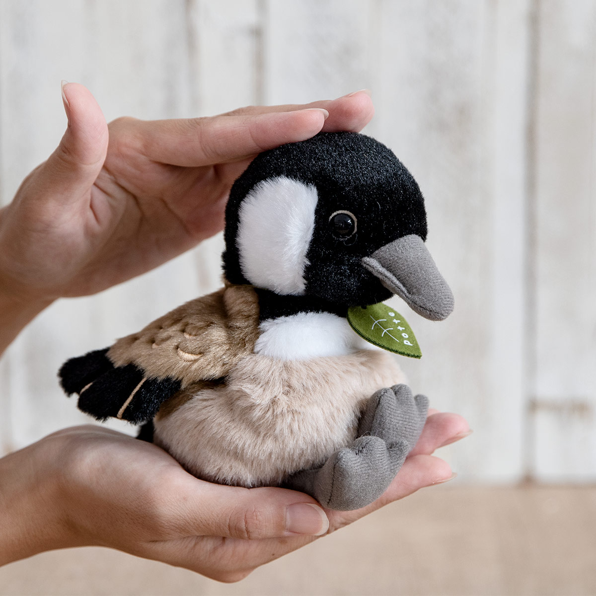 ぬいぐるみ potte シジュウカラガン （ ヌイグルミ 鳥 動物 雑貨