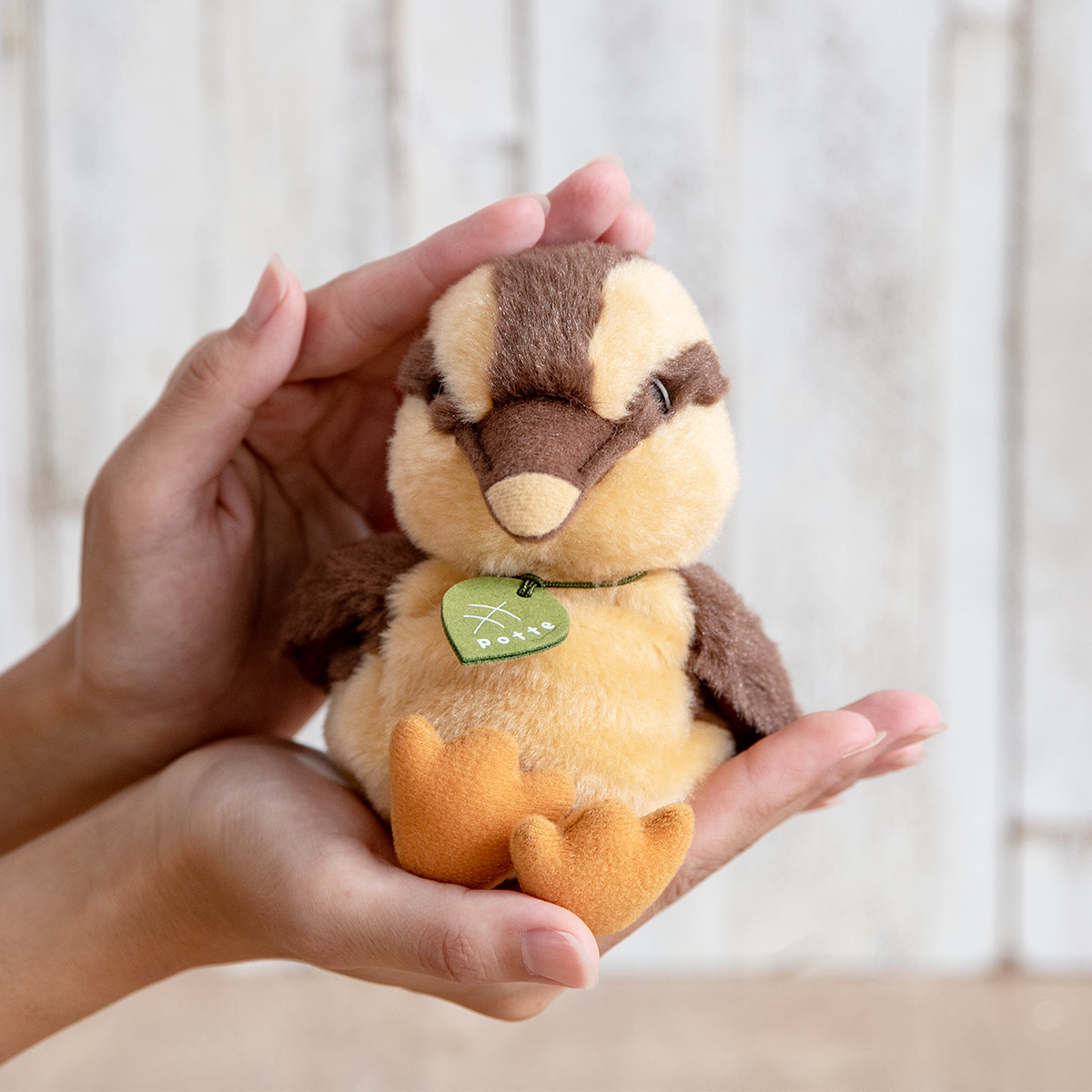 ぬいぐるみ potte カモのひな （ ヌイグルミ カモ ヒナ 小鳥 動物 雑貨