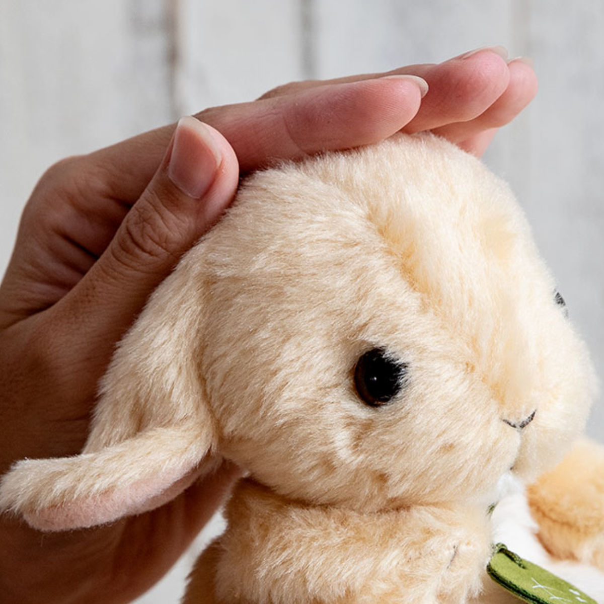 ぬいぐるみ potte ロップイヤー （ ヌイグルミ 動物 小動物 雑貨