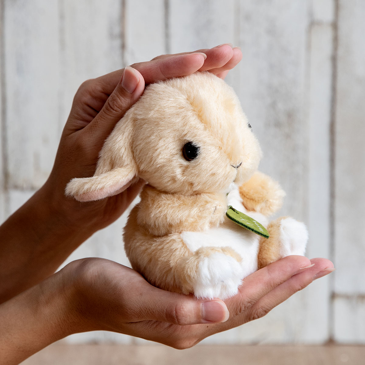 ぬいぐるみ potte ロップイヤー （ ヌイグルミ 動物 小動物 雑貨