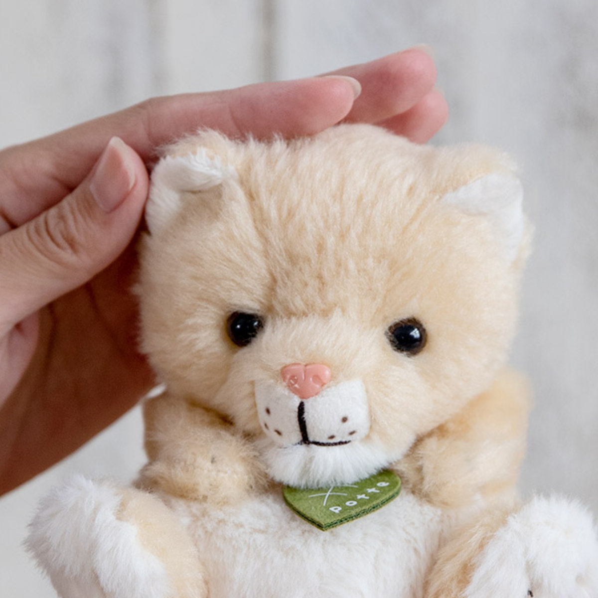 ぬいぐるみ potte メスライオン （ ヌイグルミ ライオン メス 動物