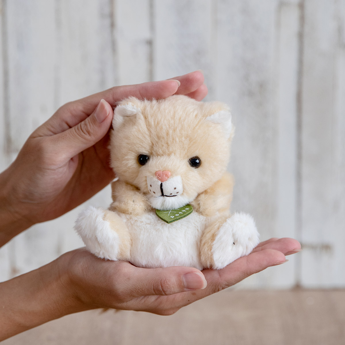 ぬいぐるみ potte メスライオン （ ヌイグルミ ライオン メス 動物