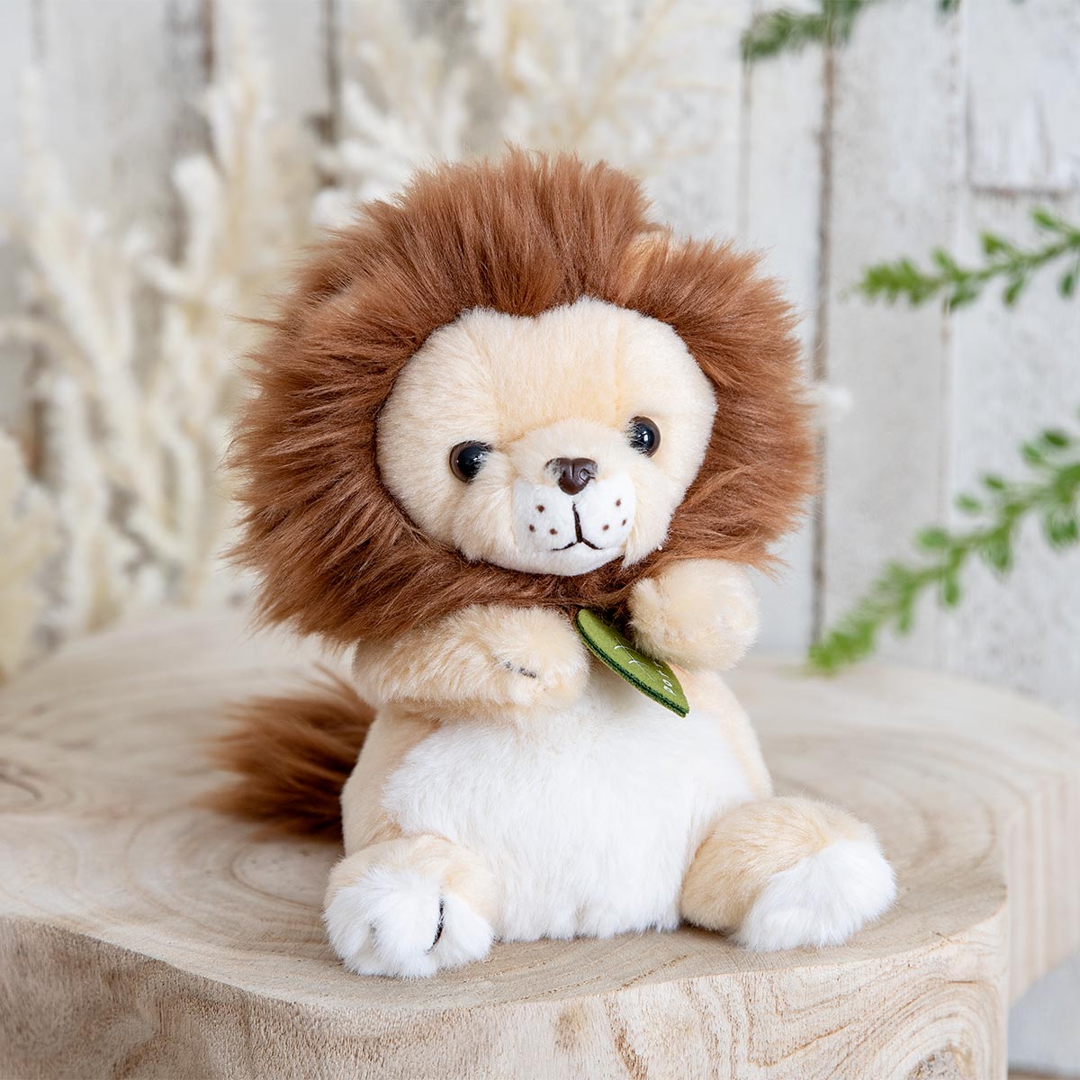 ぬいぐるみ potte オスライオン （ ヌイグルミ ライオン オス 動物