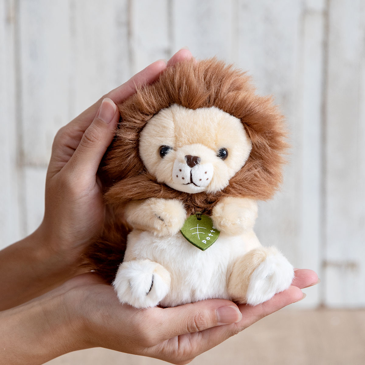 ぬいぐるみ potte オスライオン （ ヌイグルミ ライオン オス 動物