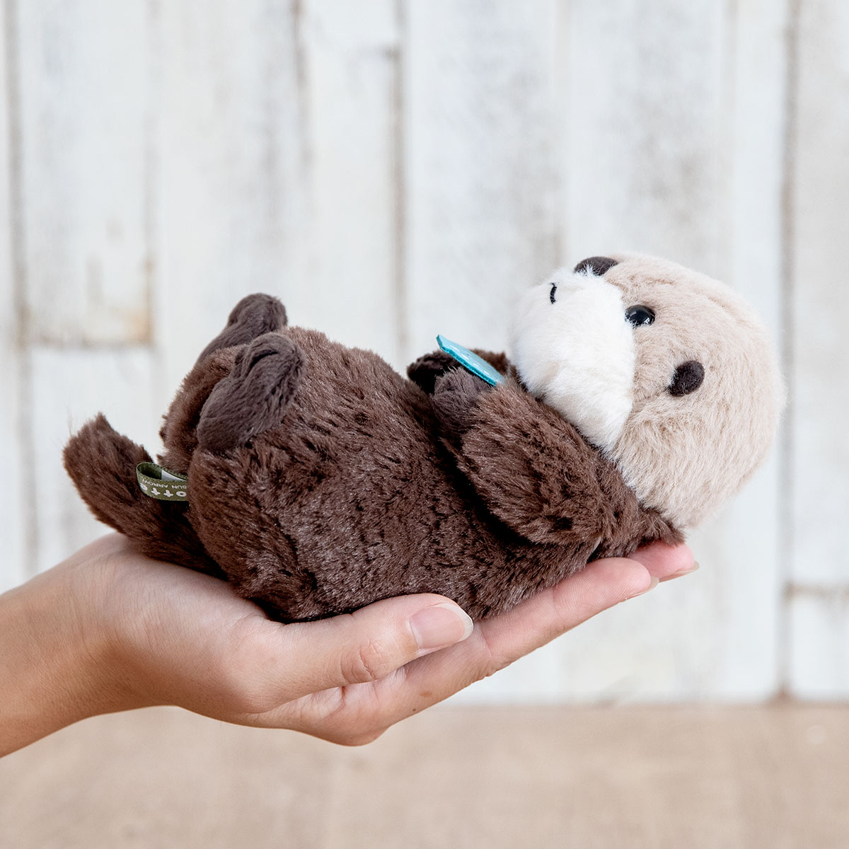ぬいぐるみ potte ラッコ （ ヌイグルミ らっこ 動物 雑貨 インテリア