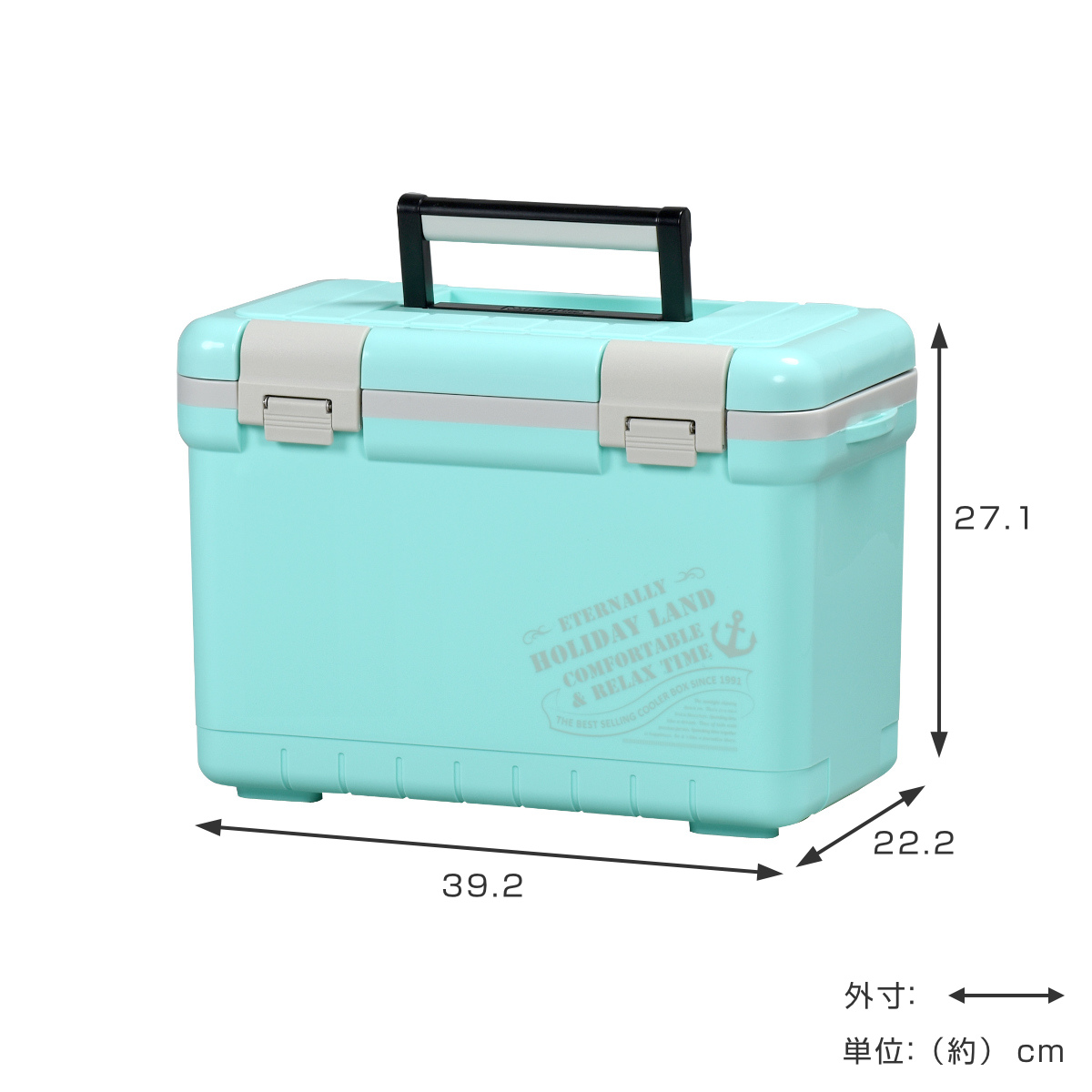 伸和（SHINWA） クーラーボックス 11L ホリデーランドクーラー ハード