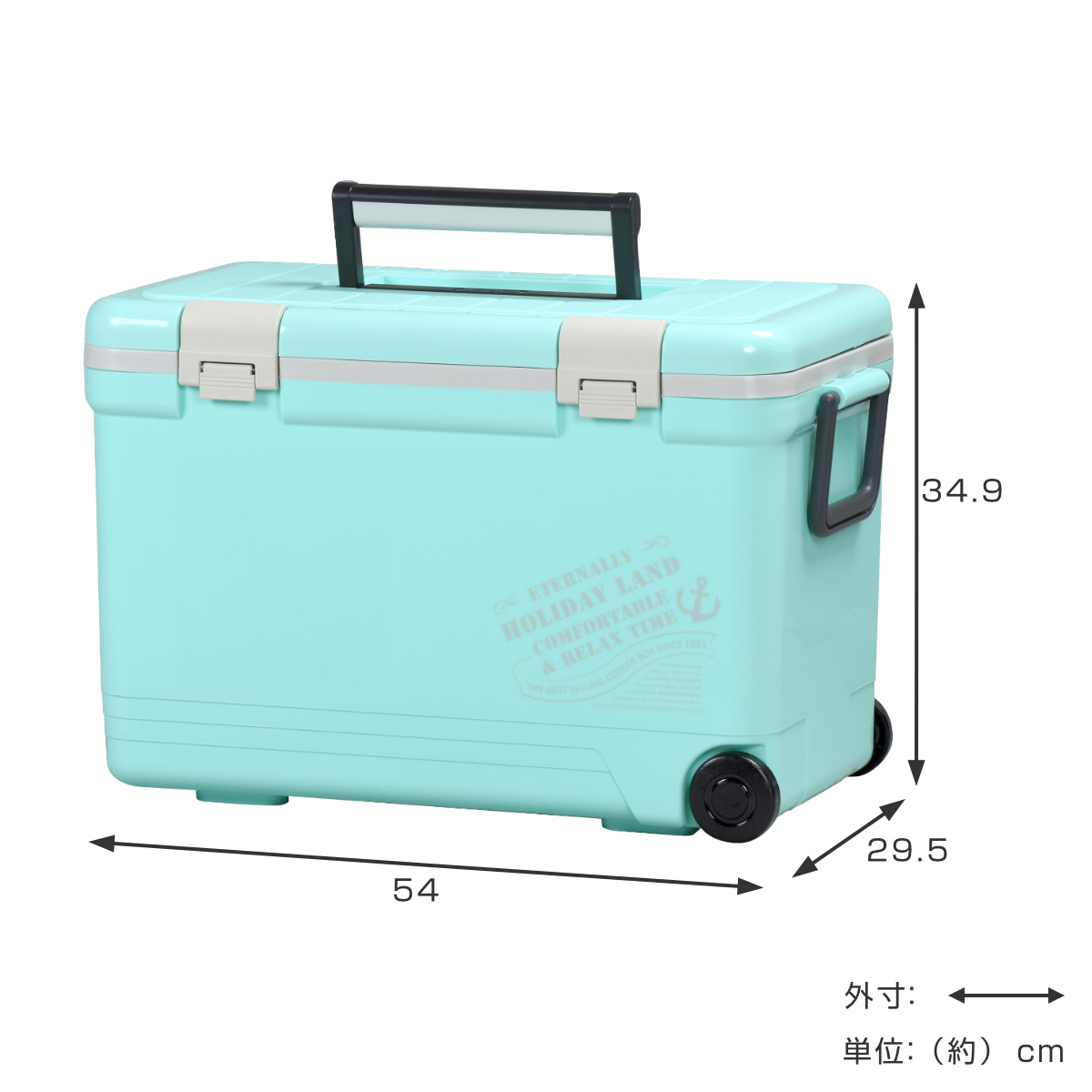 伸和（ 日用品、アウトドア用品） クーラーボックス 27L