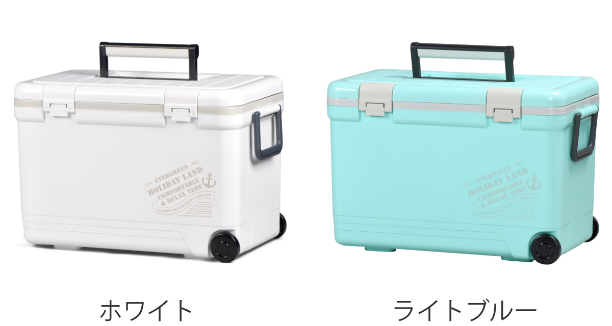 伸和（SHINWA） クーラーボックス 27L ホリデーランドクーラー ハード
