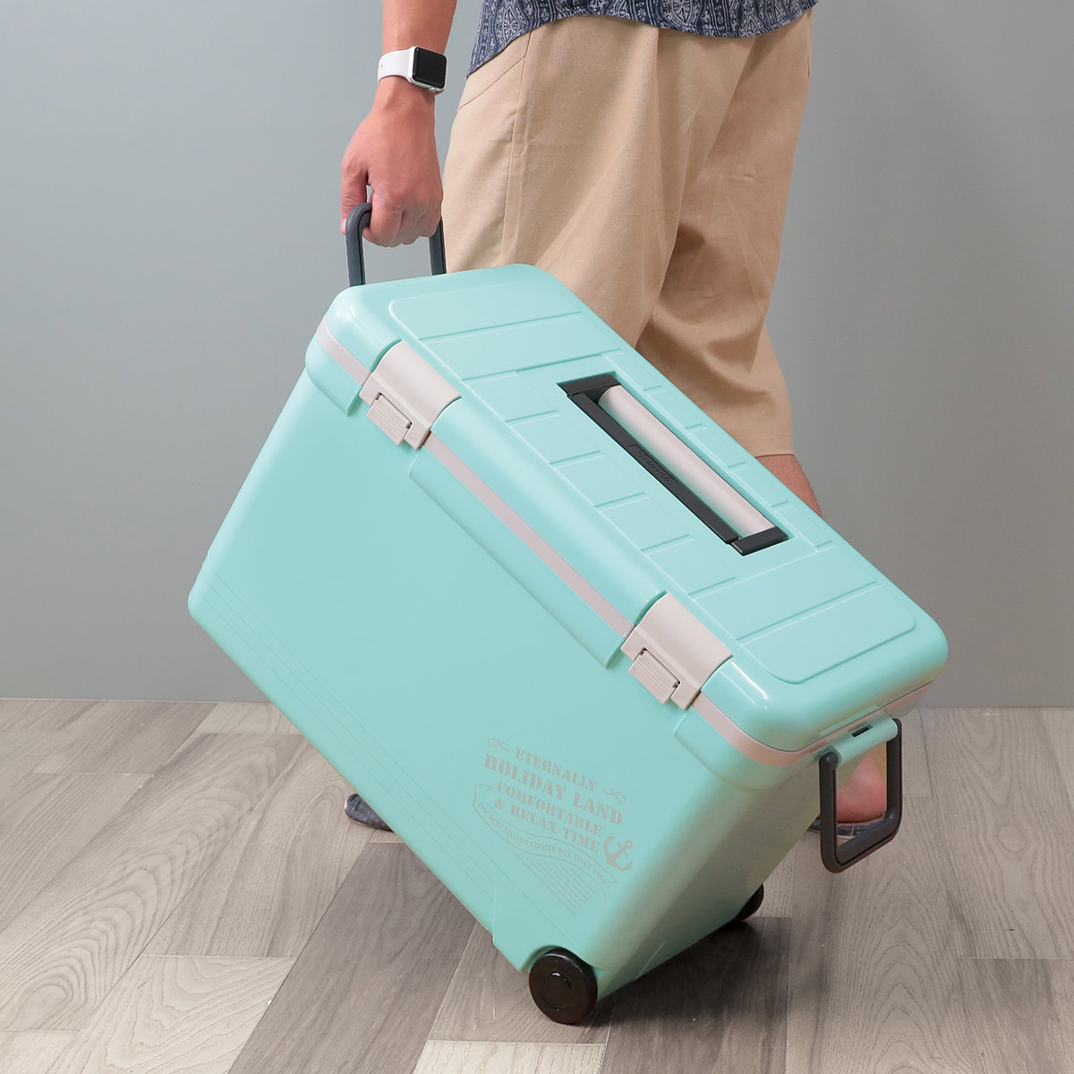 伸和（SHINWA） クーラーボックス 33L ホリデーランドクーラー ハード