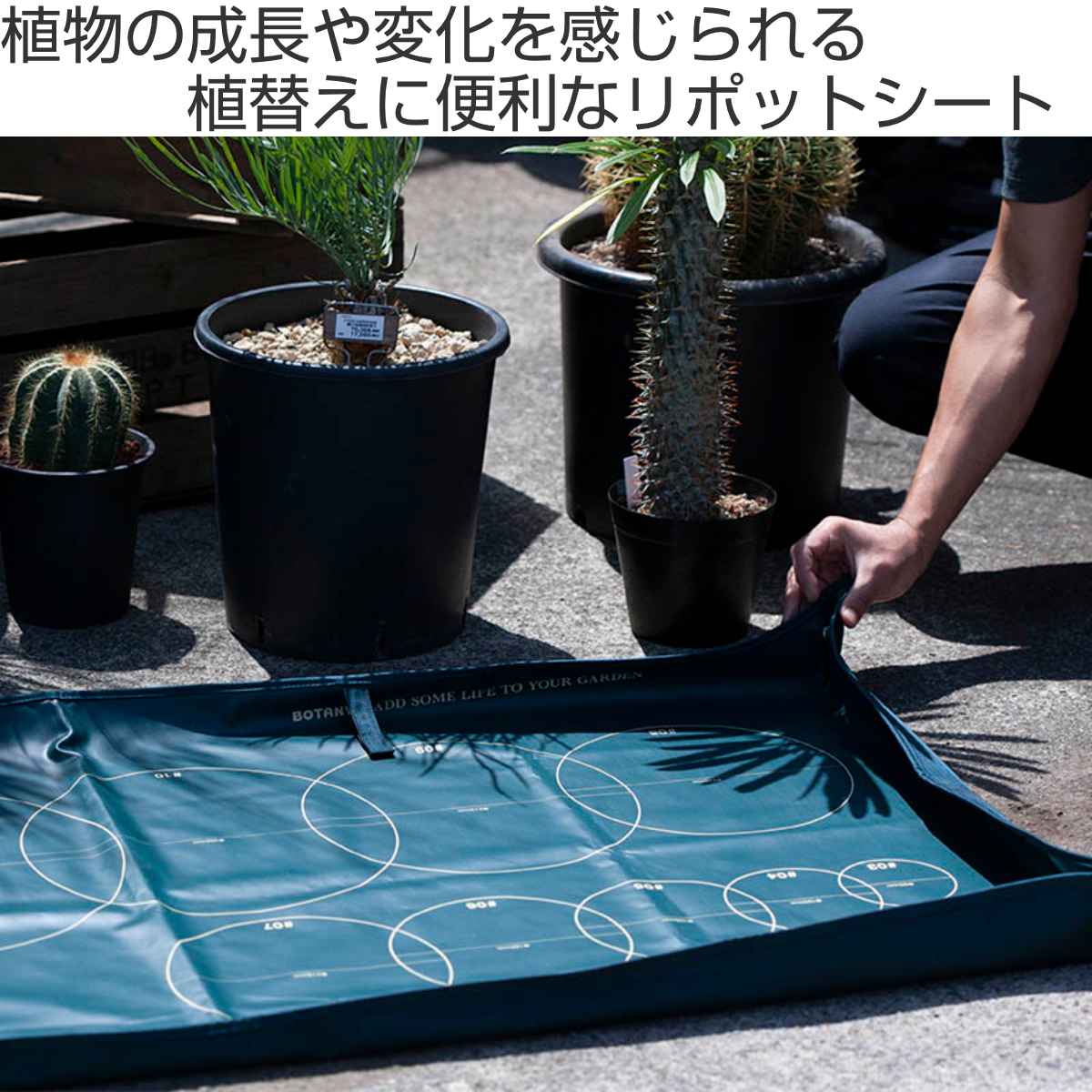 DULTON（ダルトン） 園芸シート リポットシートL 145×73cm （ 植え替え