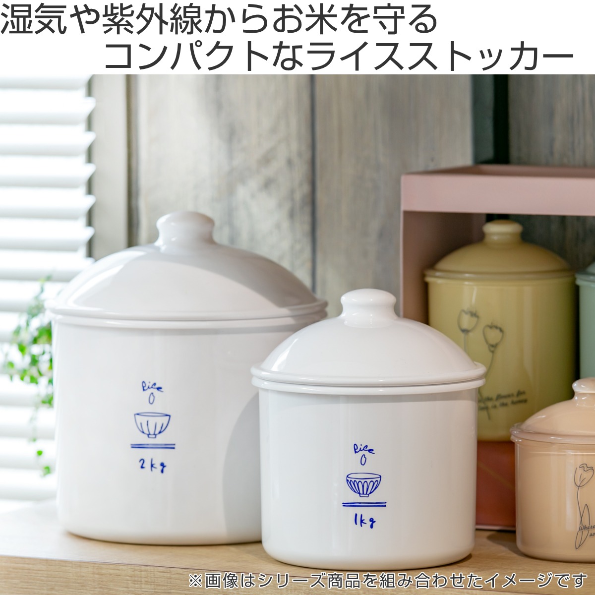 米びつ 1kg RICE CAN （ 日本製 密閉 冷蔵庫 保存容器 キャニスター