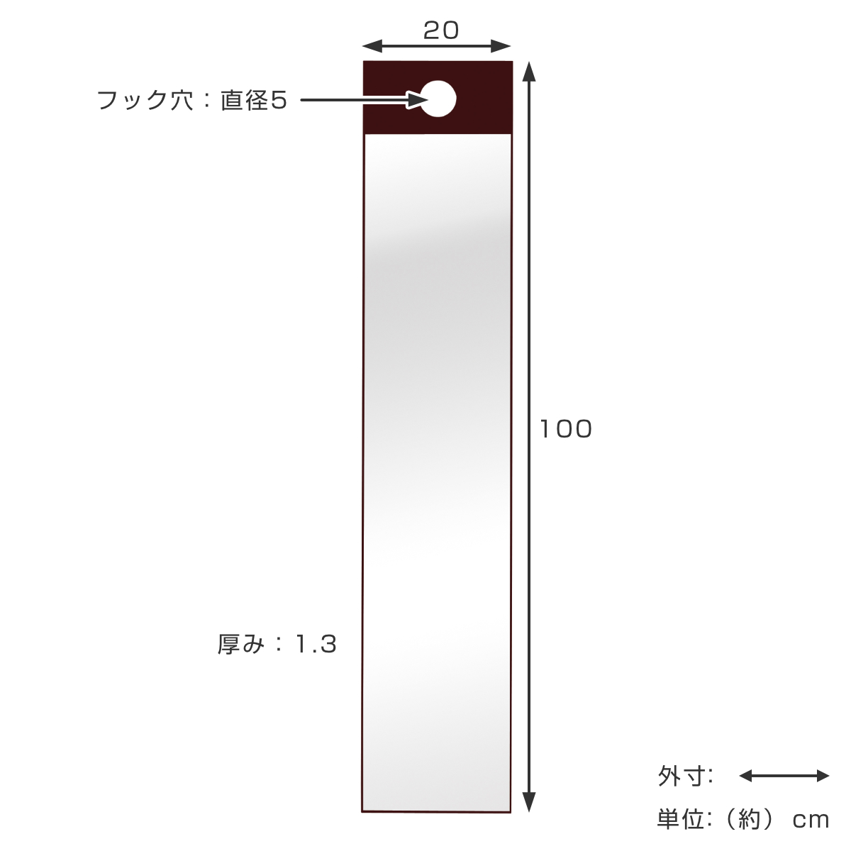 永井興産 フックミラー 高さ100cm 薄型 日本製 （ 鏡 壁掛け 吊り下げ