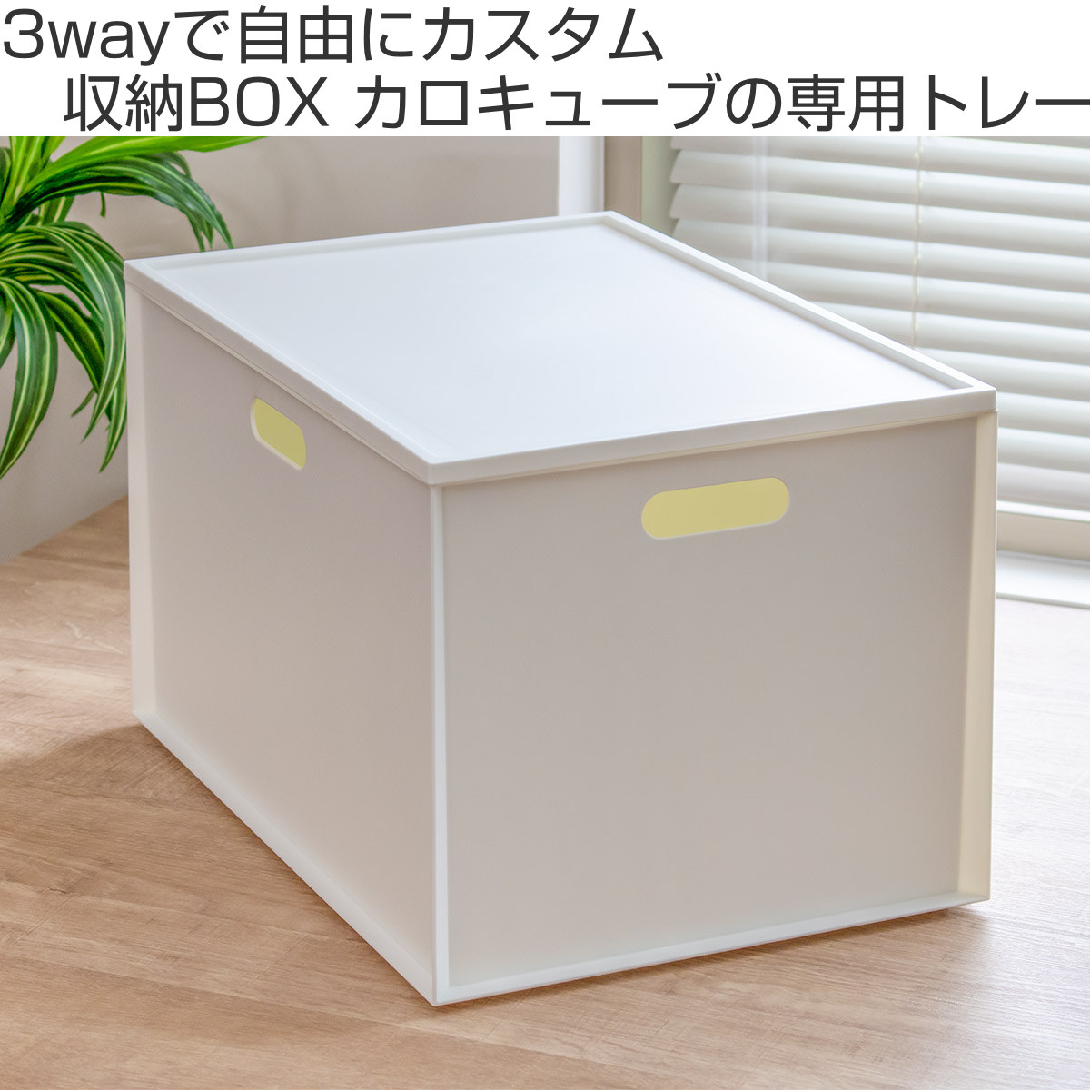 Amazon | [訳あり] 極上チョコレート 1kg 割れチョコ福袋