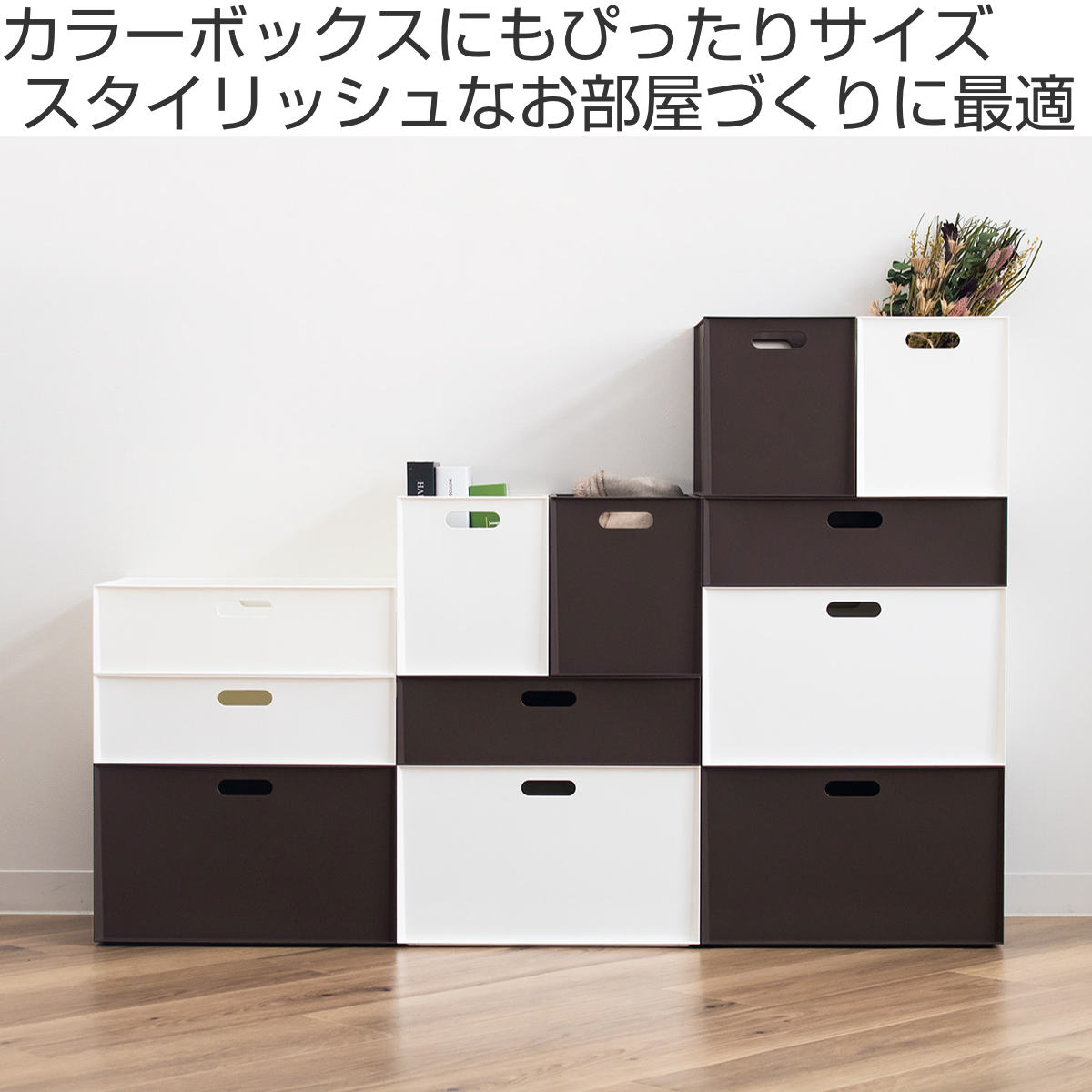 カラーボックス 専用 4-3845-02 アズラボ遠沈管用フリーズボックス 15mL×36本 10個入 AFB