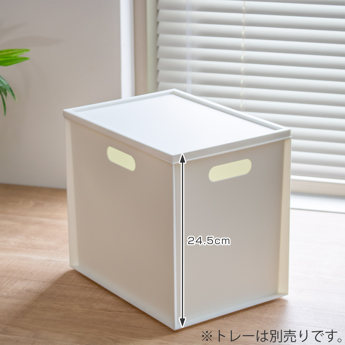 JEJアステージ 収納ボックス カラーボックス用 カロキューブ 縦型