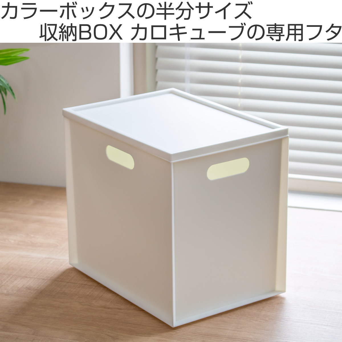 JEJアステージ 収納ボックス カラーボックス用 カロキューブ 縦型