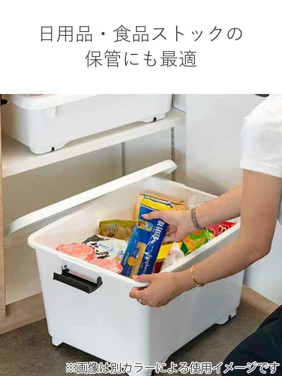 JEJアステージ 衣装ケース クローゼット 収納ケース コロモ 幅38.5