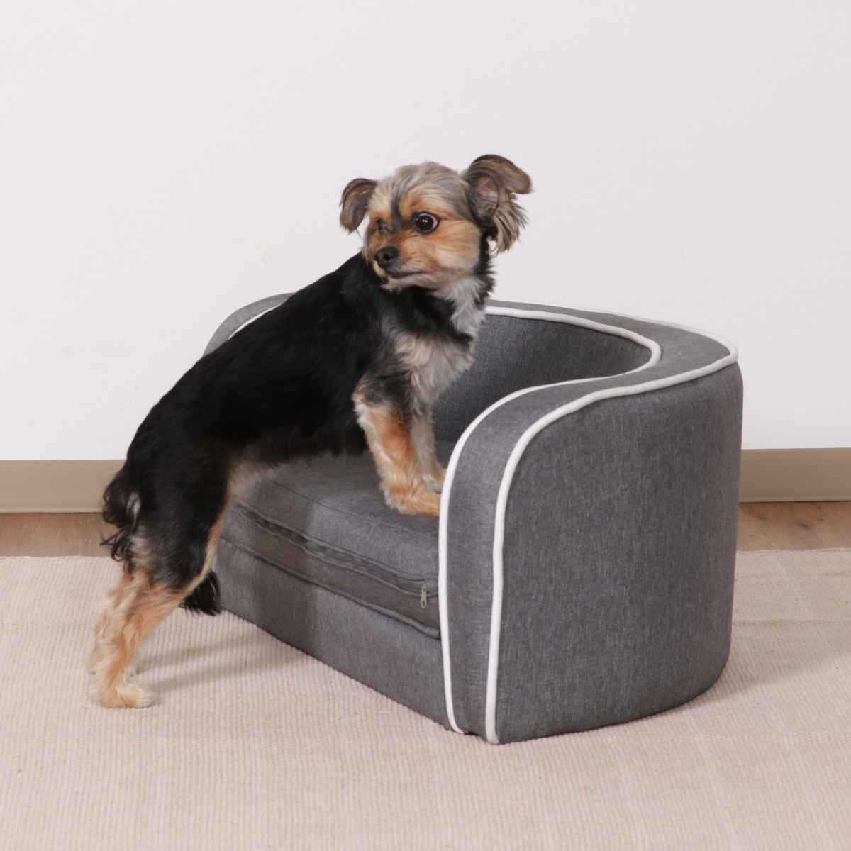 不二貿易（Fuji Boeki） ペットソファ 幅75.5cm クッション 折りたたみ