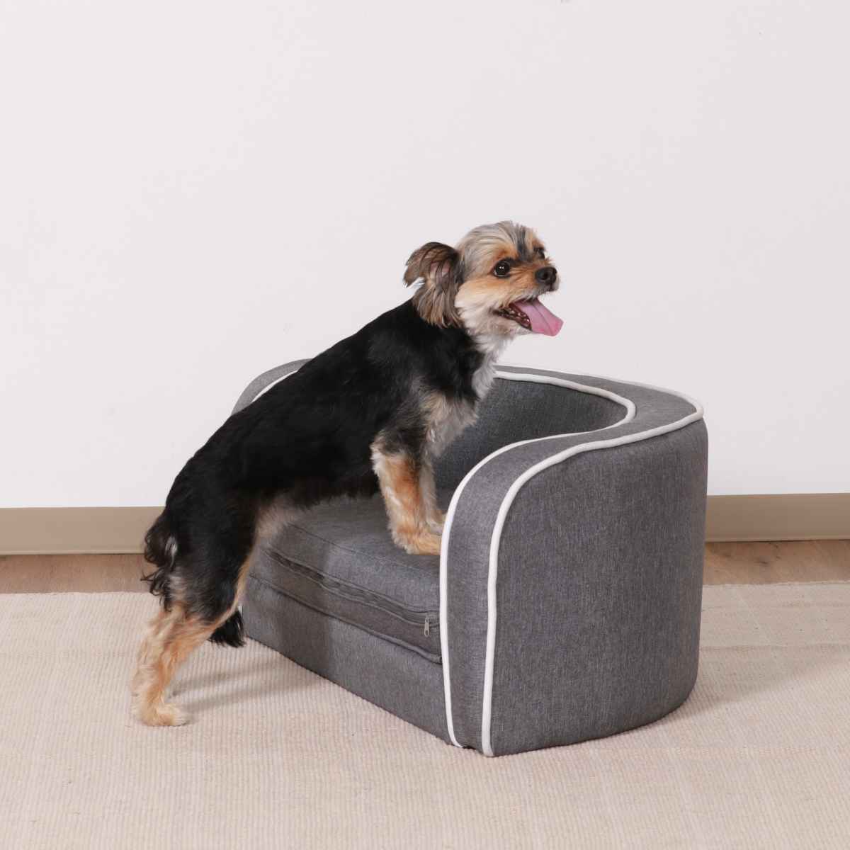 不二貿易（Fuji Boeki） ペットソファ 幅75.5cm クッション 折りたたみ