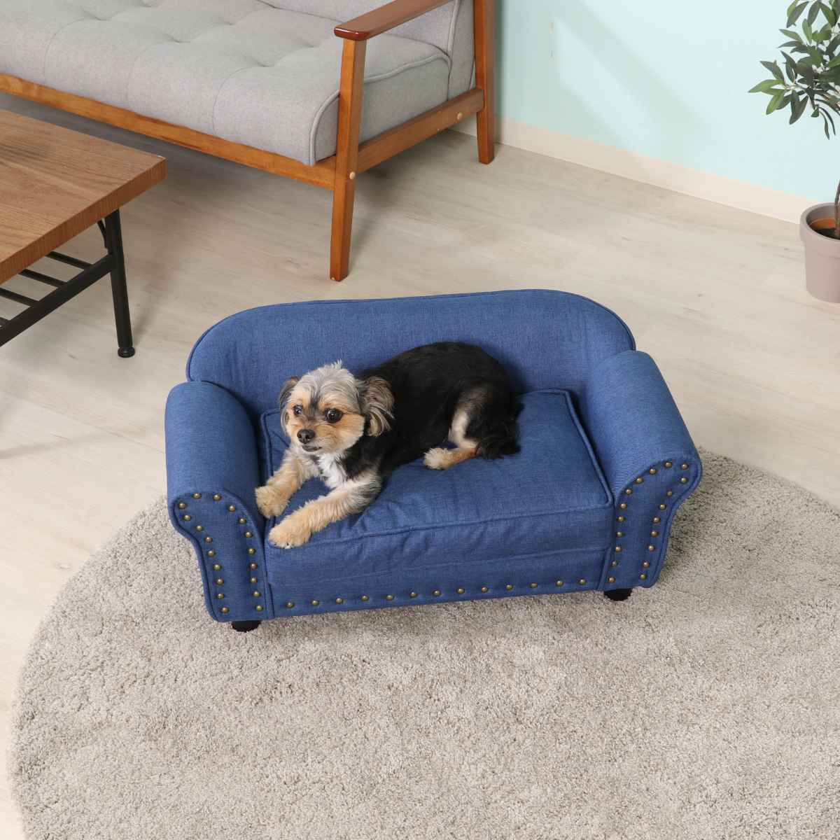 ペットソファ 幅74cm チェスターフィールド風 （ ペットベッド 犬 猫 ペット家具 ペット用 ベッド ソファー ）の画像