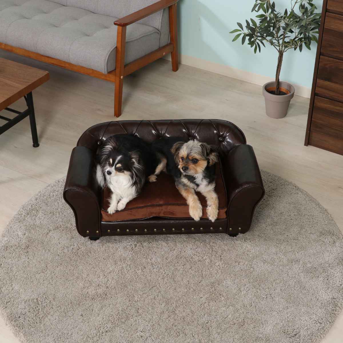 ペットソファ 幅74cm チェスターフィールド風 （ ペットベッド 犬 猫 ペット家具 ペット用 ベッド ソファー ）の画像