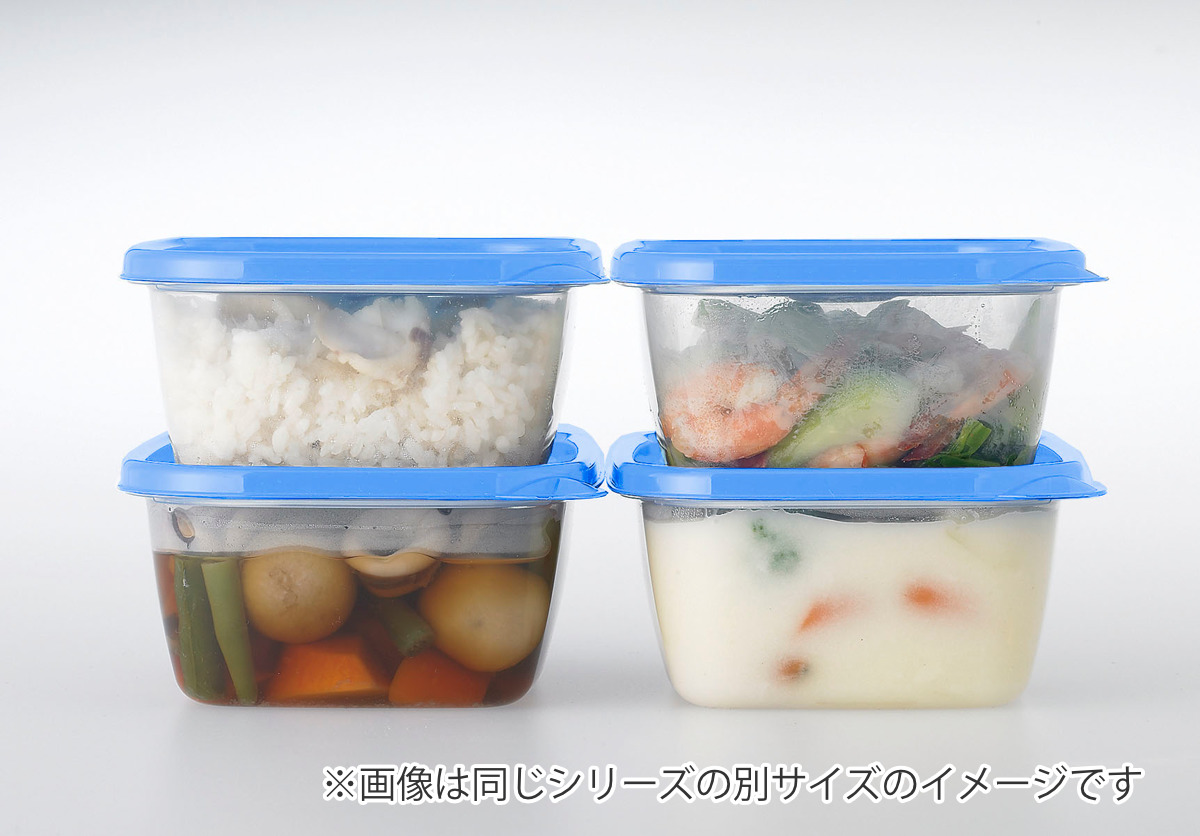 食品保存容器セット ブラック 日本タッパーウエア株式会社の商品 保存容器 610ml スマートフラップ KB 角型 M 2個入 （ 日本製