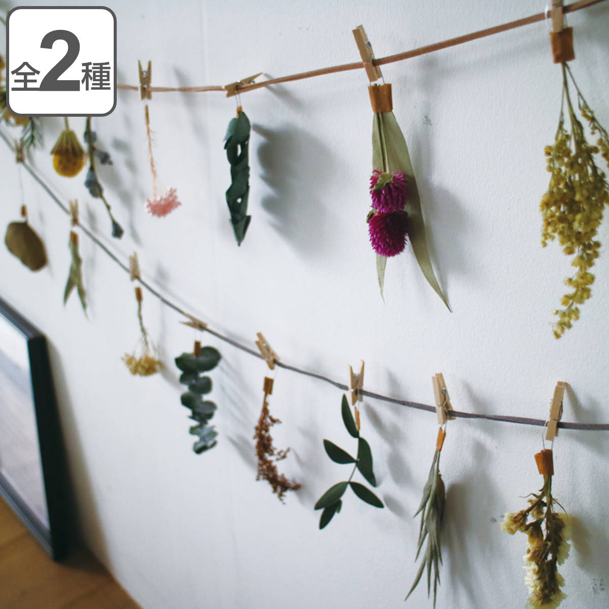 ドライフラワー Garland Botanical （ ガーランド 壁掛け 花