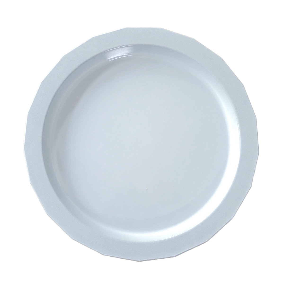 プレート 24cm L MUDDY プラスチック （ 食洗器対応 電子レンジ対応 中