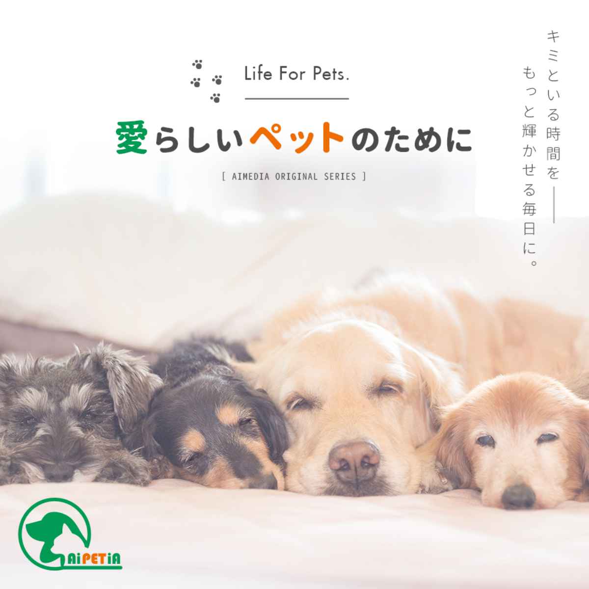 ペットベット ふわふわベッド ペット用 ベージュ （ ペット用ベッド 犬