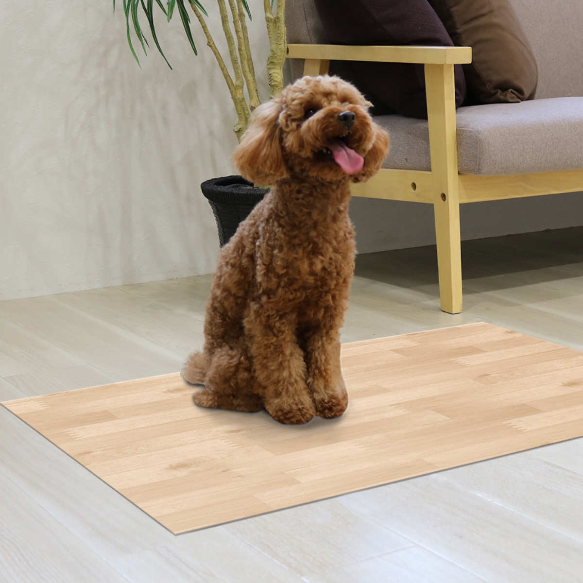 ペット用消臭防水シート 60cm×90cm （ ペット ペットマット 防水マット
