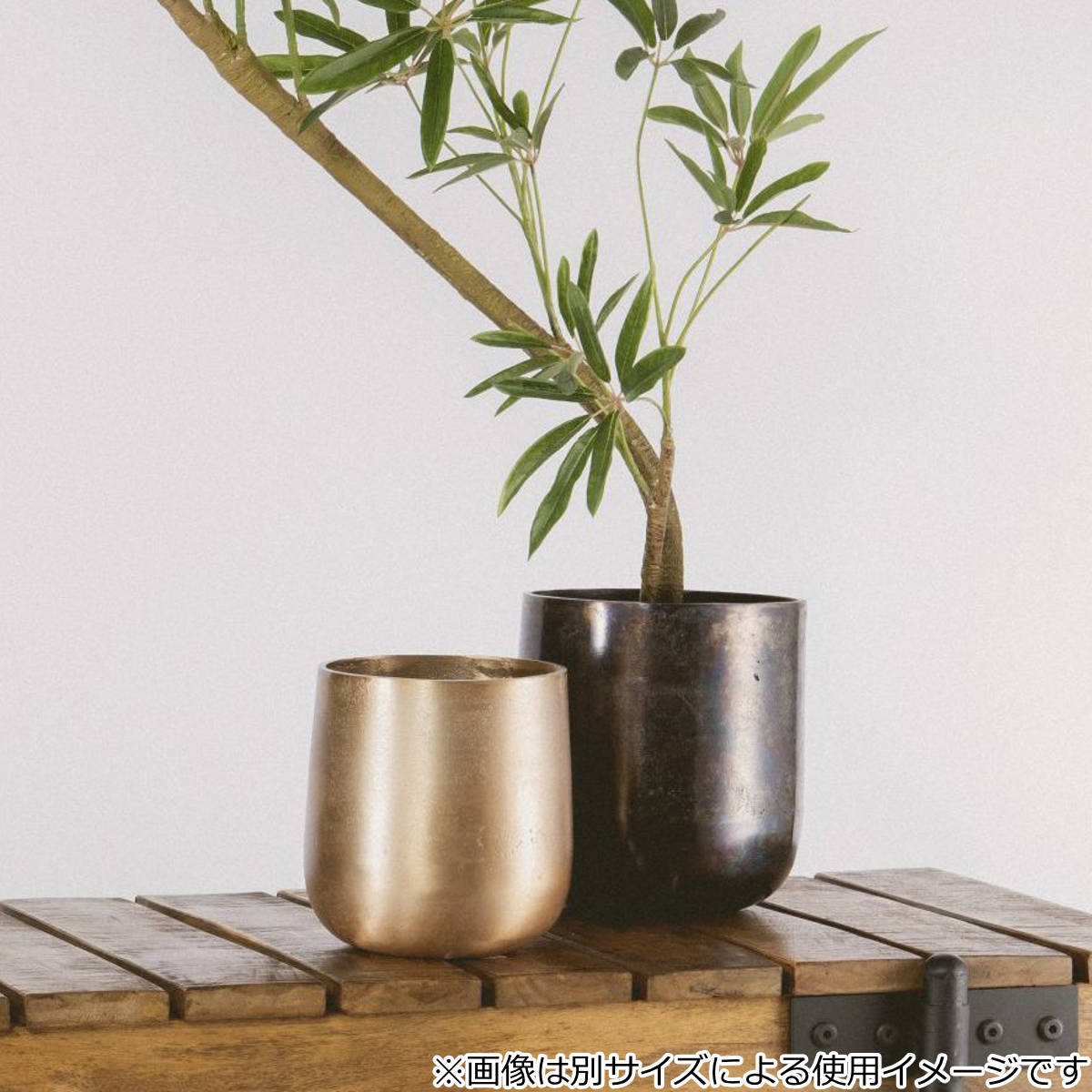 植木鉢 AM4ベース アルミ 直径15×高さ16cm （ プラントポット 植物用
