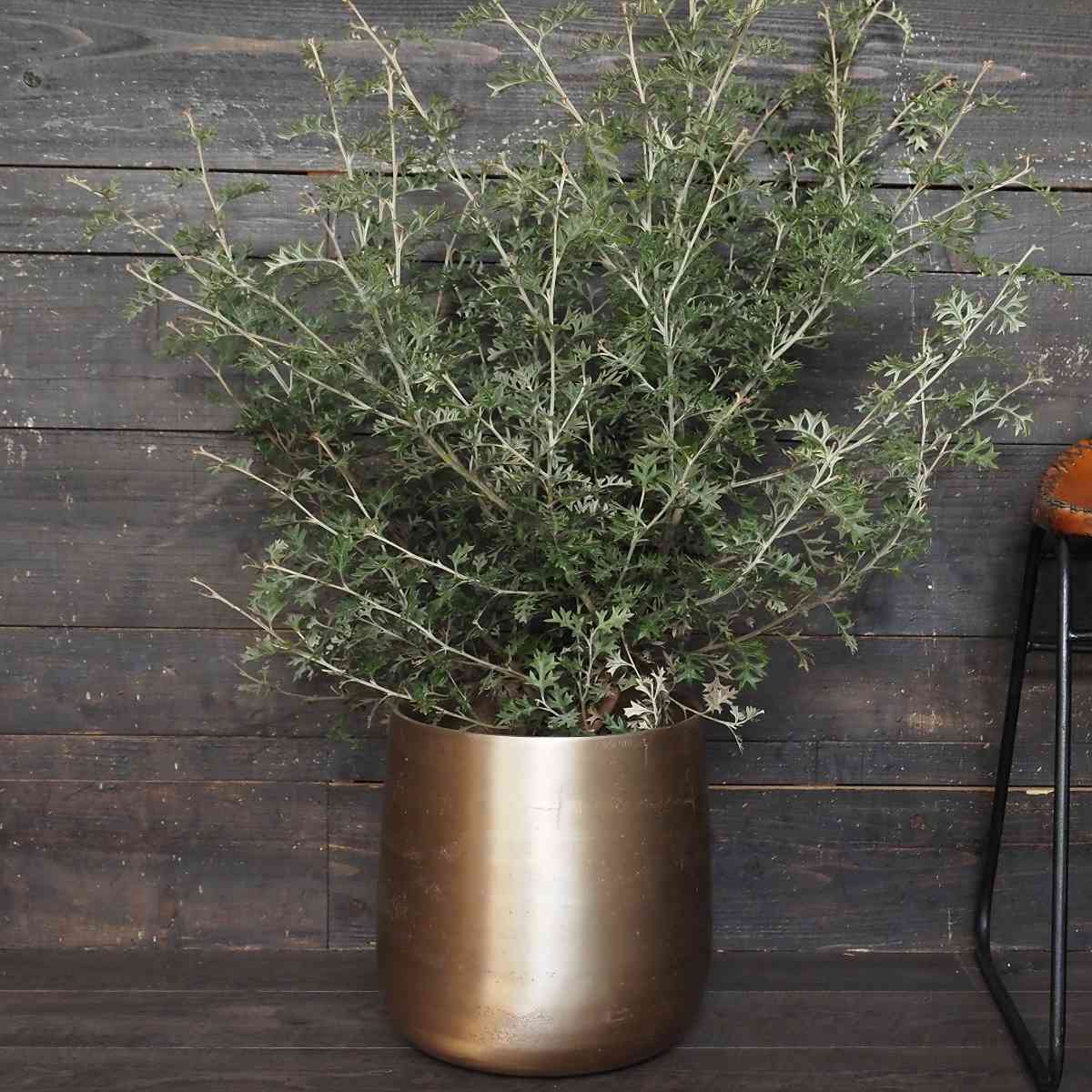 植木鉢 AM8ベース アルミ 直径30×高さ31cm （ プラントポット 植物用