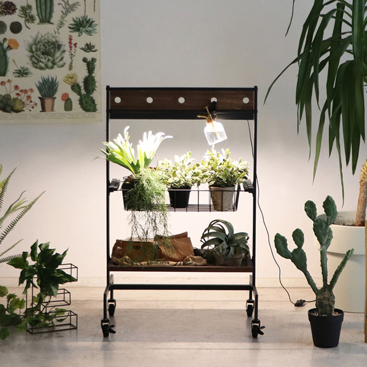 東馬（Tohma） プランターワゴン 2段 LED照明付 プレンティ 幅62cm