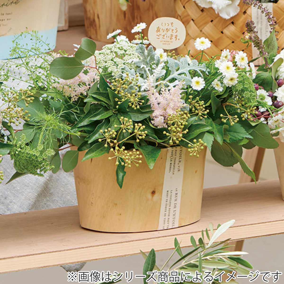 鉢カバー ナチュラルバスケット 2号用 （ 植木鉢カバー 植木鉢 カバー
