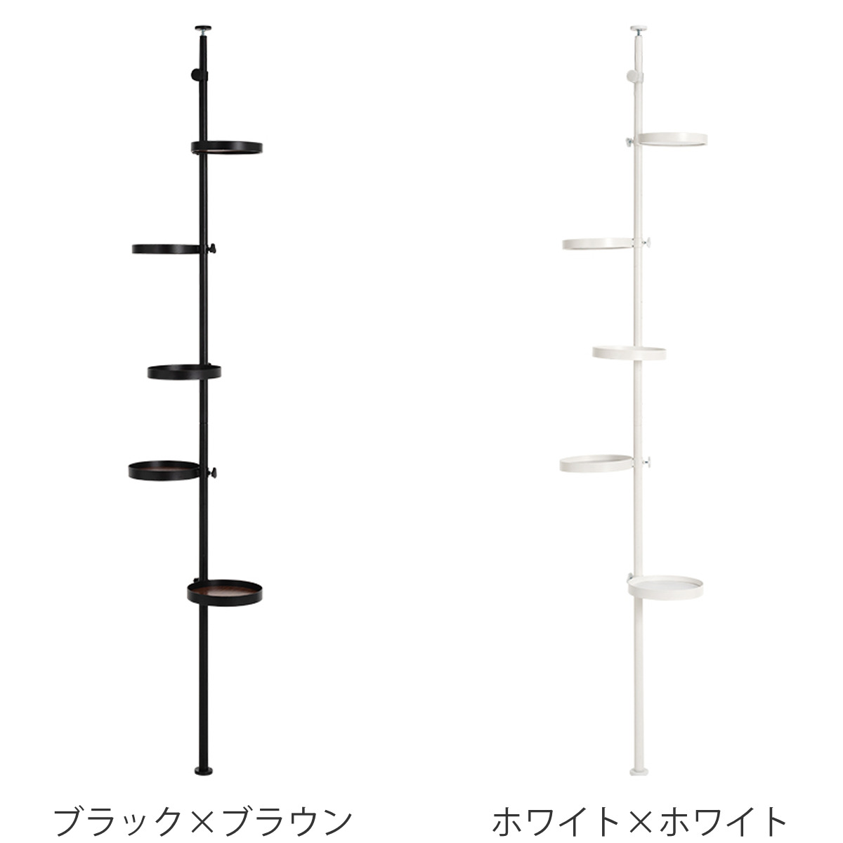 HAGiHARA 突っ張りポールラック 丸型トレイ5個 高さ調整 見せる