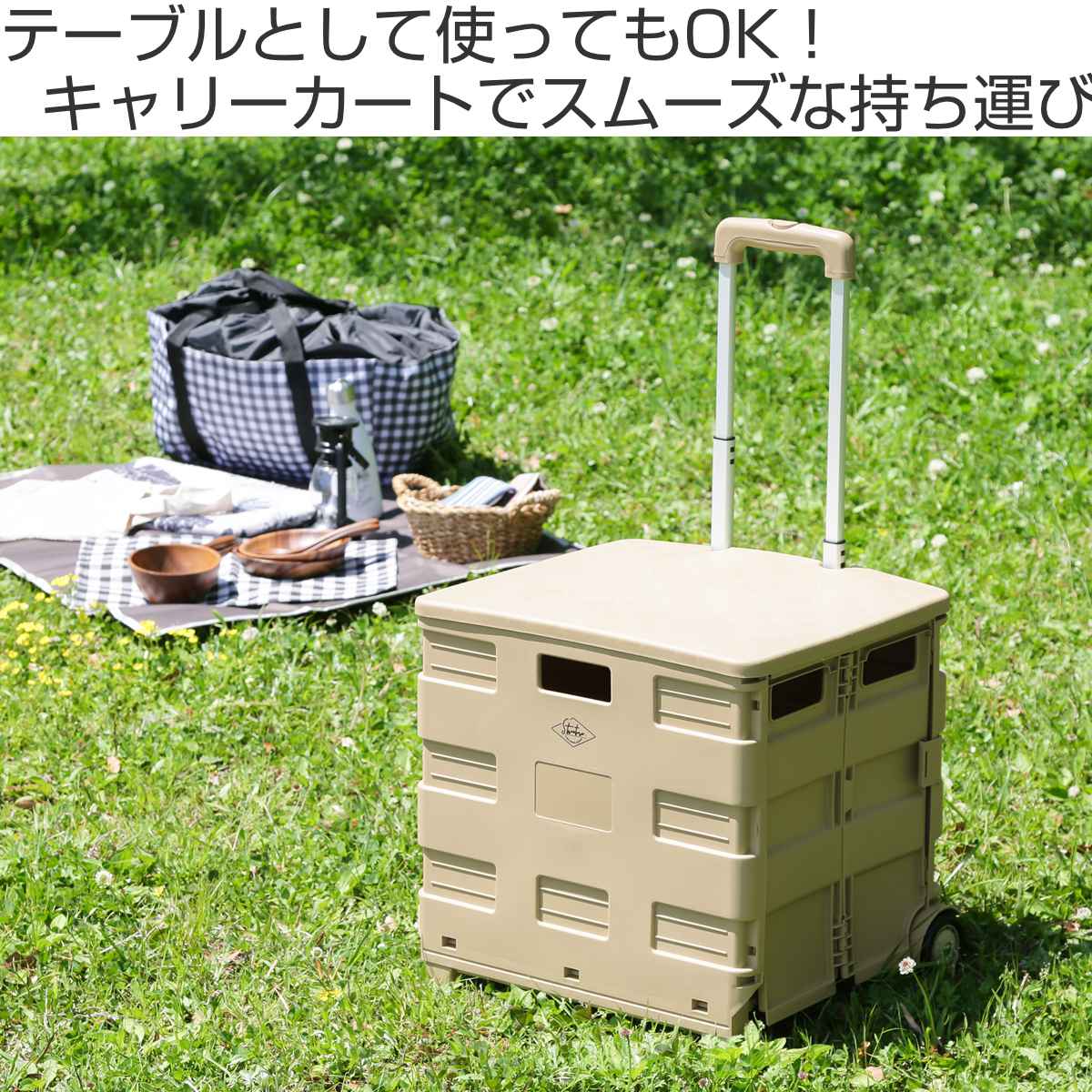 不二貿易（Fuji Boeki） キャリーカート 折りたたみ 蓋付き Lサイズ 