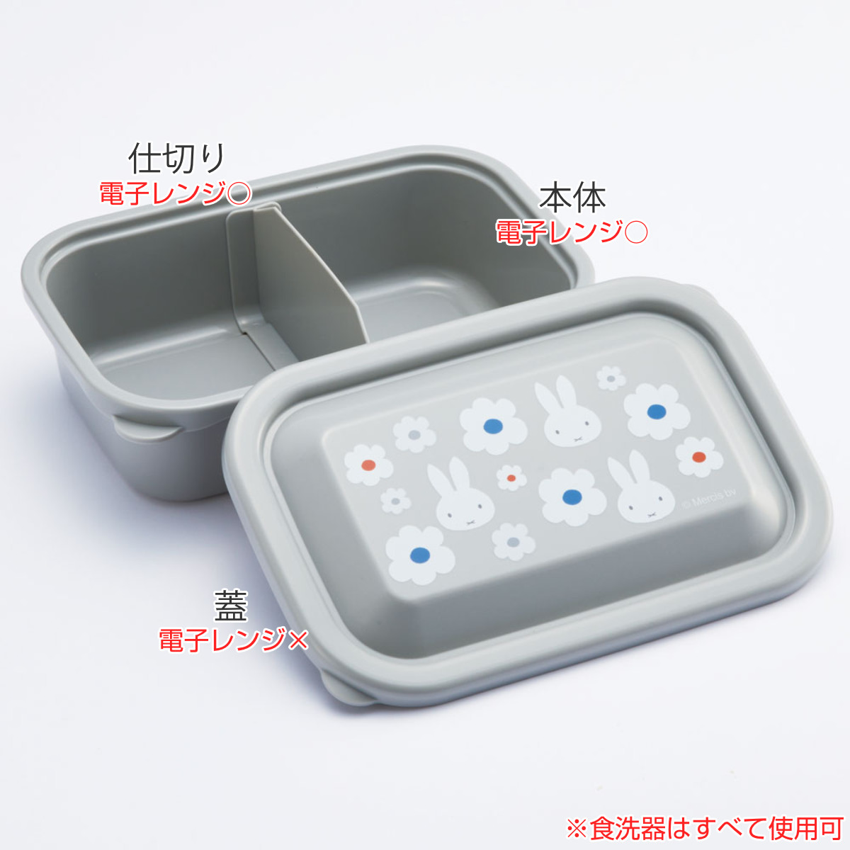 スケーター 保存容器 ふわっとフタ付 S 580ml 軽量 フードパック