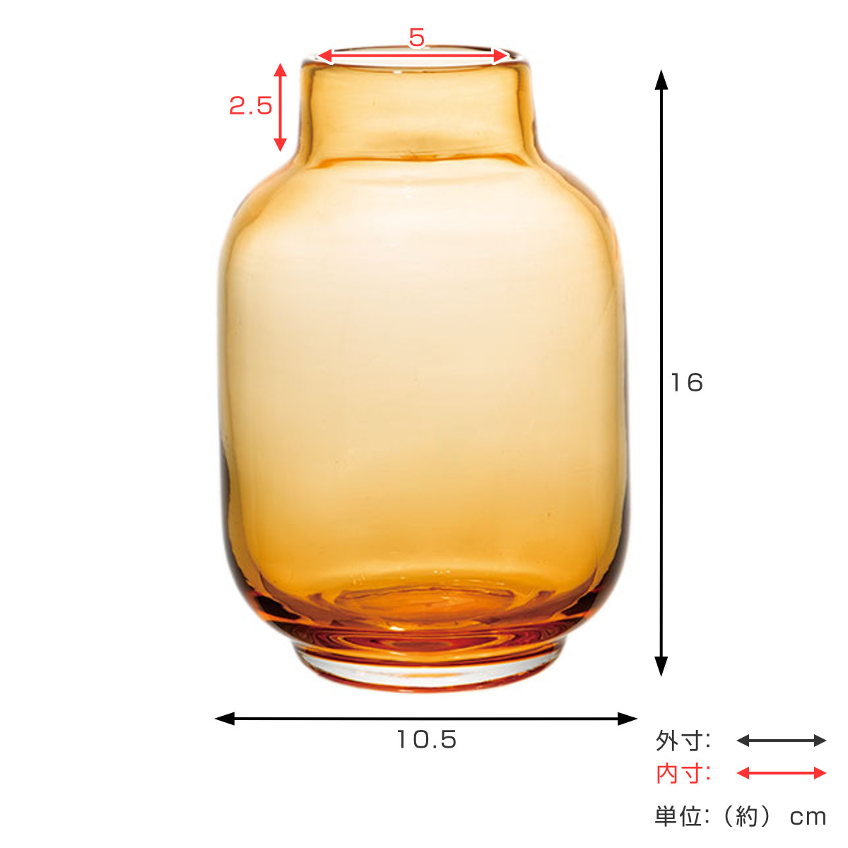 花瓶 DGボトル ガラス 直径10.5x高さ1...の詳細画像4