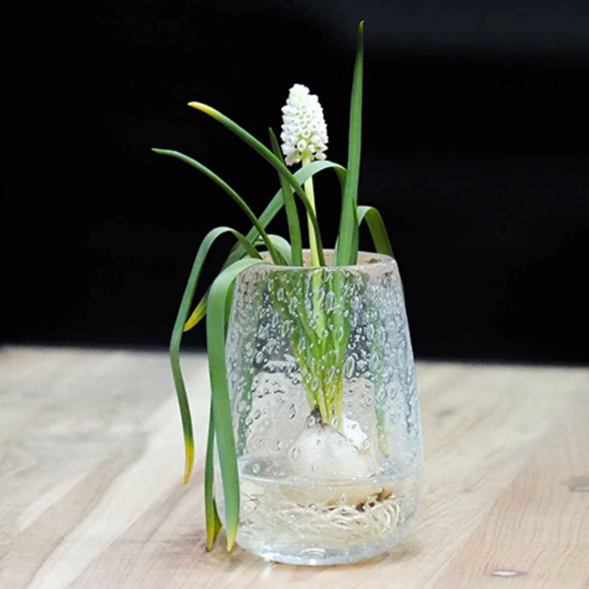花瓶 DGティアドロップベース ガラス 直径7×高さ10cm （ フラワー
