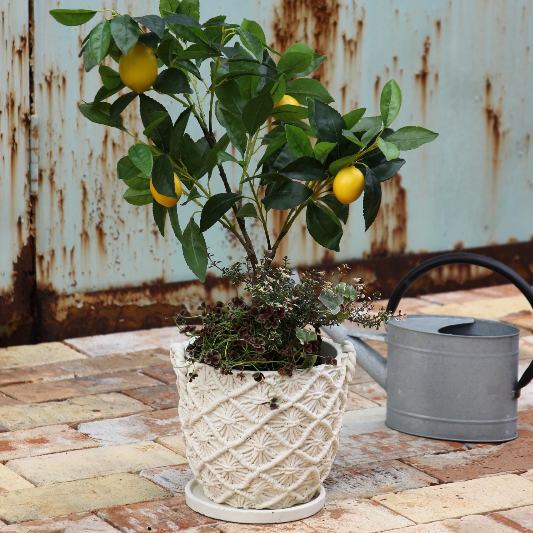 SPICE of Life 植木鉢 マクラメプランター Lサイズ 6号 セメント