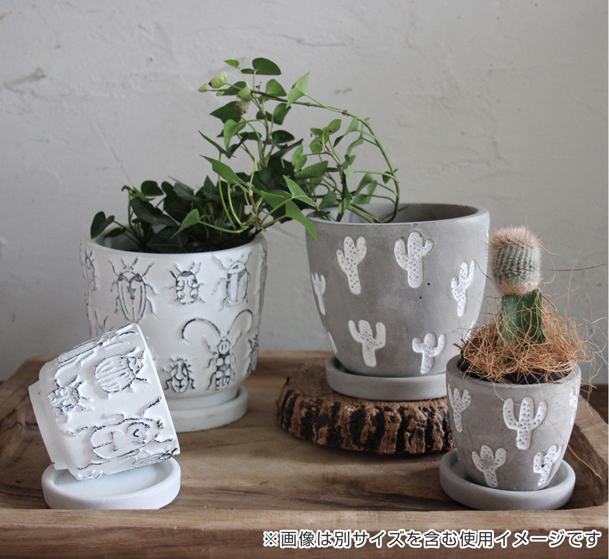 SPICE of Life（スパイス オブ ライフ） 植木鉢 レリーフ プランター