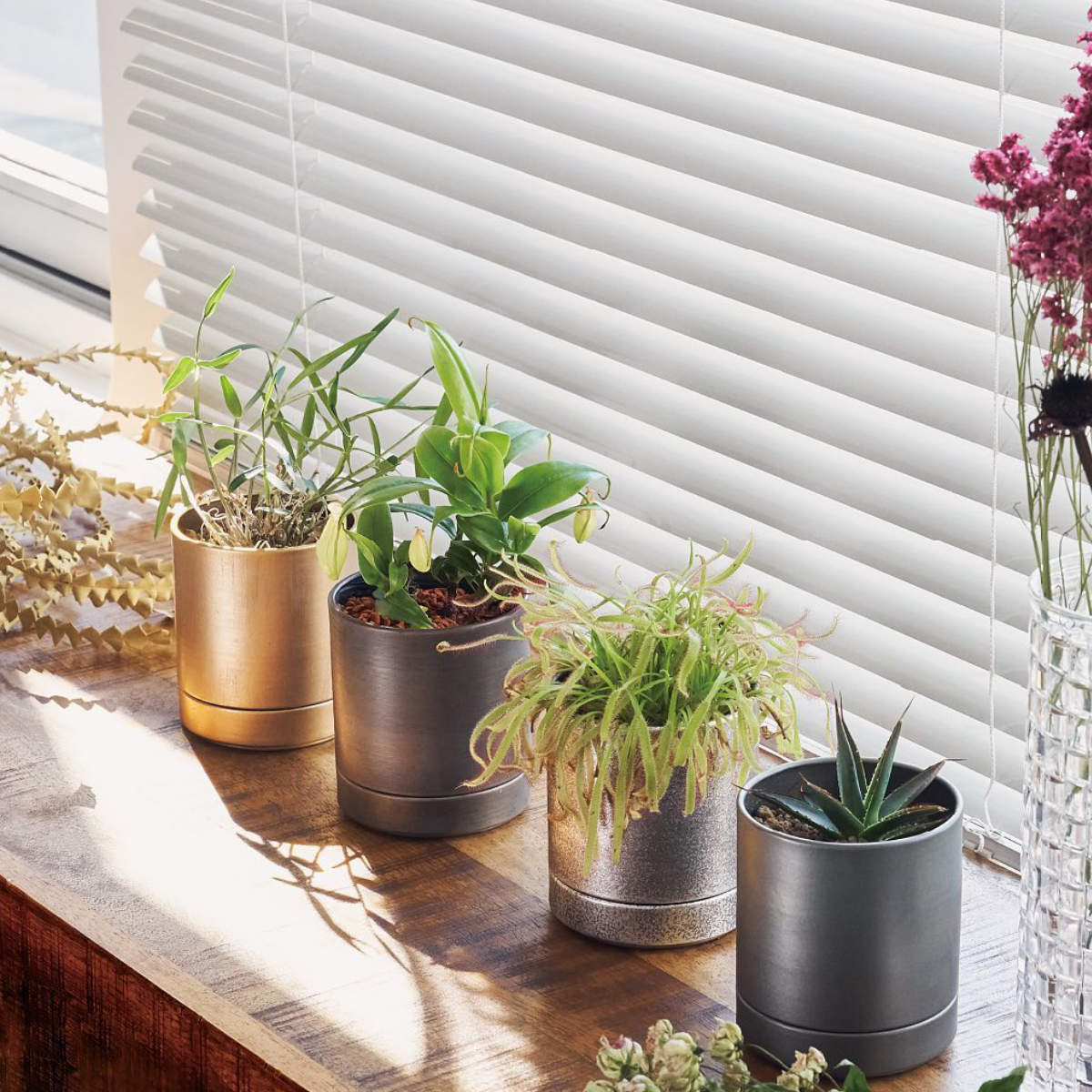 植木鉢 MC円柱メタルECOポット 受け皿付き 直径10cm （ プランター