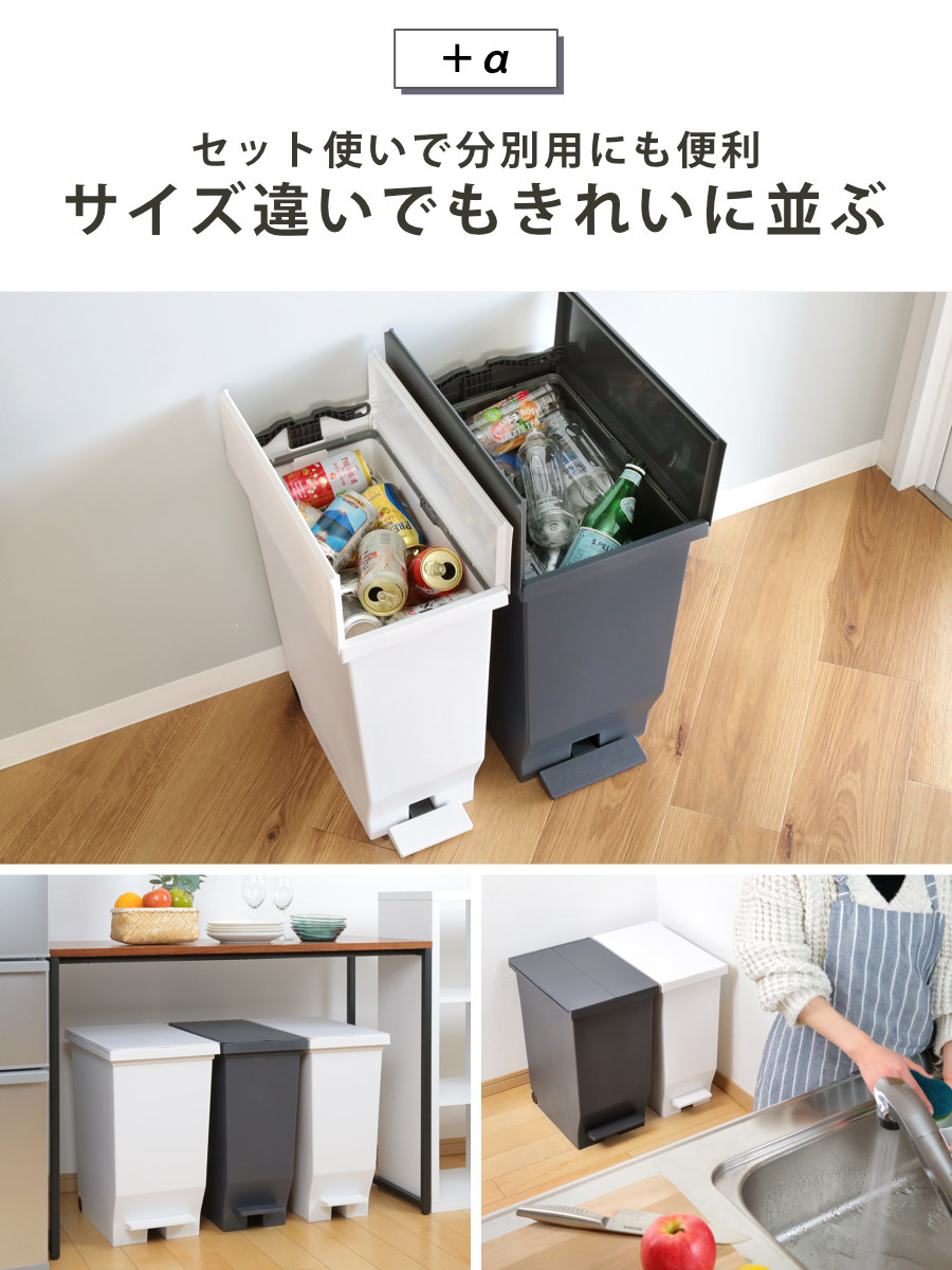 アスベル（ASVEL） ゴミ箱 30L エバン 両開きペダルペール （ ごみ箱