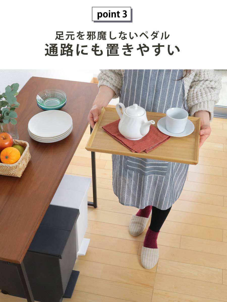 ゴミ箱 30L 同色2個セット エバン 両開き...の詳細画像5